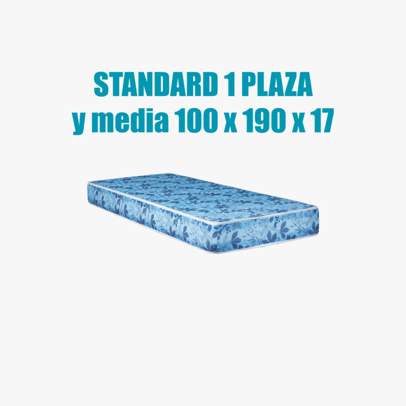 Colchon Standard 100 x 190 x 17cm